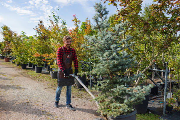 Best Seasonal Cleanup (Spring/Fall)  in Port Clinton, OH